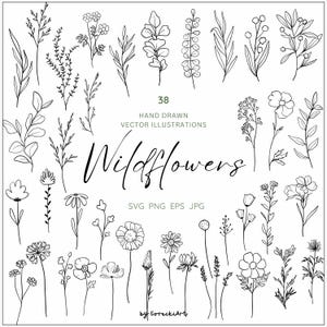 Puede incluir: Un conjunto de 38 ilustraciones vectoriales de flores silvestres dibujadas a mano. Las ilustraciones son en blanco y negro y presentan una variedad de diferentes flores silvestres, incluyendo margaritas, trébol y otras flores delicadas. El texto "Wildflowers" está escrito en una fuente estilizada en la parte inferior de la imagen.