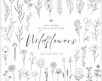 Wildflower Line Art Clipart: Botanical SVG PNG EPS (Digital Download)