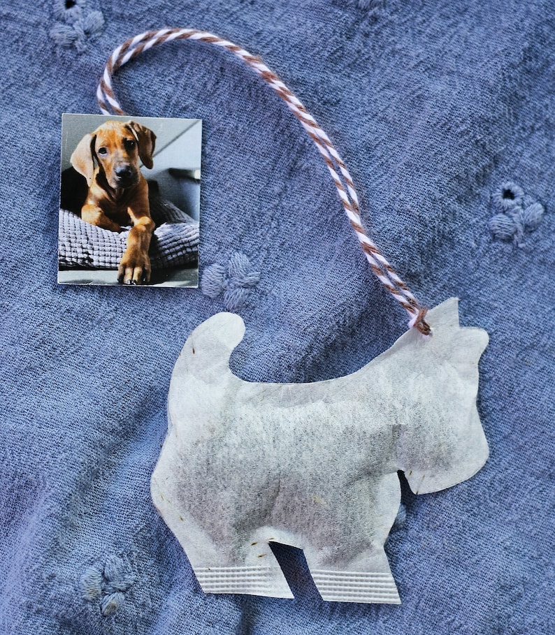 Custom Shaped Tea Bag 'Dog' Organic with Personalized Etsy