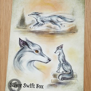 The Silver Swift Fox - Giclee Art Print, Wall Art