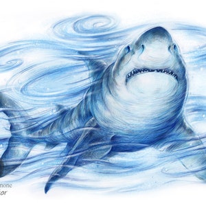 Great White Shark - Wall Art, Giclee Art Print