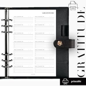 Pianificatore di gratitudine INSERTI / Pianificatore REFFEL / Panoramica finanziaria minima / Download Insta
