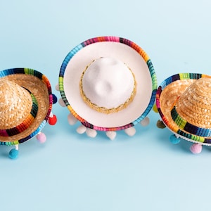 Bachelorette Mini Sombrero Hats Final Fiesta Bridal Party Favors Mexican Bridal Shower Taco Cactus theme Bachelorette image 1