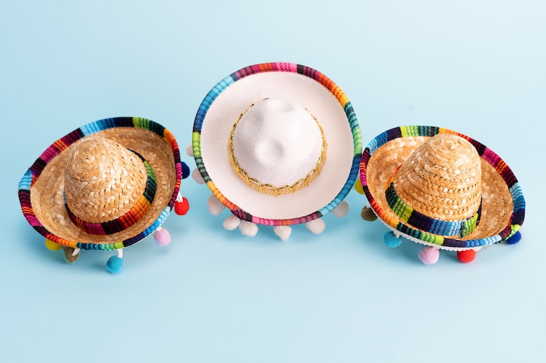 Bachelorette Mini Sombrero Hats Final Fiesta Bridal Party Favors Mexican Bridal Shower Taco Cactus theme Bachelorette image 1