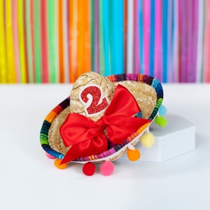 Taco Bout Two Birthday Hat, Birthday Mini Sombrero, Cinco De Mayo Party Decor, Fiesta Celebration, Baby's First Fiesta