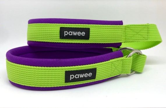 dog collar and leash in one