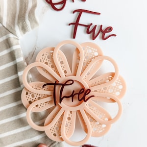 Carte d'étape de fleur acrylique moderne rose blush et marron | Marqueur d’étape mensuel pour bébé | Étape importante de Boho | Cadeau de fête de naissance | Bébé d'automne