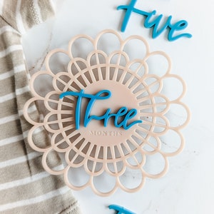 Blush Pink & Teal Modern Acrylic Flower Milestone Card / Marcador de hito mensual para bebés / Boho Baby / Baby Shower Gift / Spring Baby
