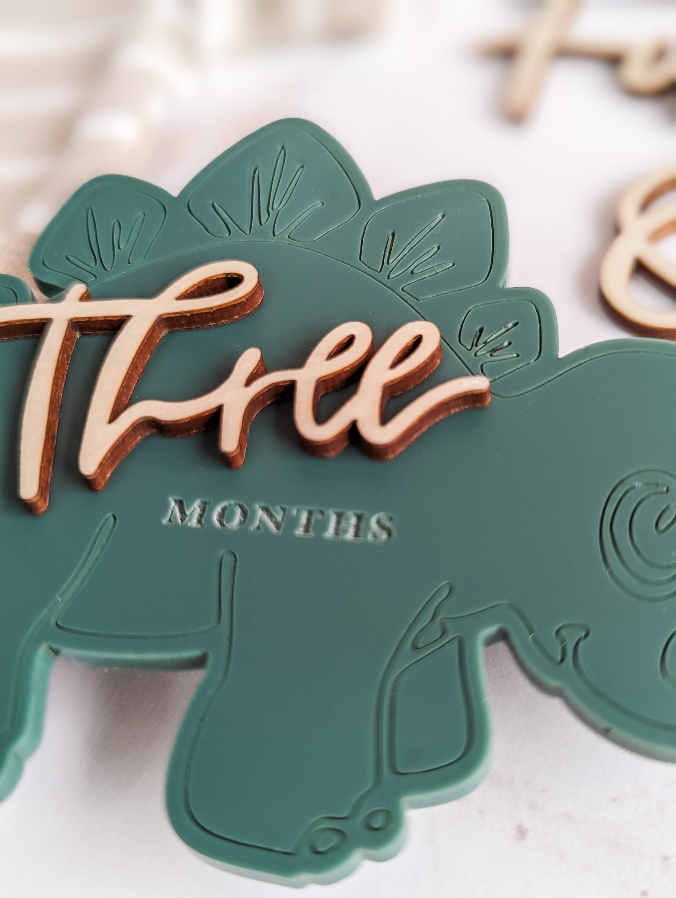 Modern Dinosaur Milestone Cards | Monthly Milestone Markers | Baby ...