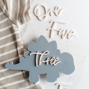 Cartes jalons de dinosaures modernes | Marqueurs d’étape mensuels | Marqueur mensuel pour bébé | Carte d’étape de garçon | Cadeau de fête de naissance | Accessoire photo