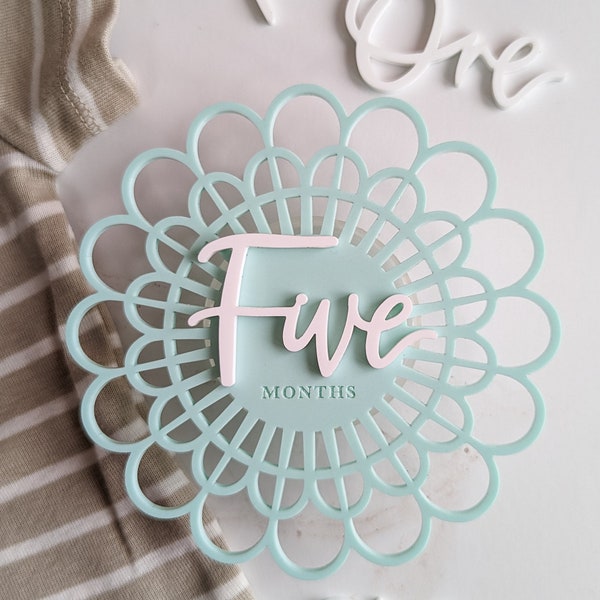 Light Teal and White Modern Acrylic Flower Milestone Card | Baby Monthly Milestone Marker | Boho Baby | Baby Shower Gift | Spring Baby