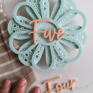 Light Teal & Blush Pink Modern Acrylic Flower Milestone Card / Marcador de hito mensual para bebés / Boho Baby / Baby Shower Gift / Spring Baby