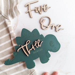 Cartes jalons de dinosaures modernes | Marqueurs d’étape mensuels | Marqueur mensuel pour bébé | Carte d’étape de garçon | Cadeau de fête de naissance | Accessoire photo