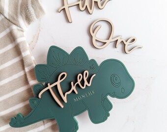 Modern Dinosaur Milestone Cards | Monthly Milestone Markers | Baby Monthly Marker | Boy Milestone Card | Baby Shower Gift | Photo Prop