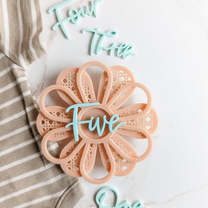 Carte d'étape de fleur acrylique moderne rose blush et sarcelle | Marqueur d’étape mensuel pour bébé | Étape importante de Boho | Cadeau de fête de naissance | Bébé d'été