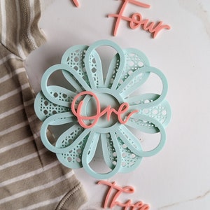 Carte d'étape de fleur acrylique moderne sarcelle claire et rose | Marqueur d’étape mensuel pour bébé | Boho Bébé | Cadeau de fête de naissance | Printemps bébé