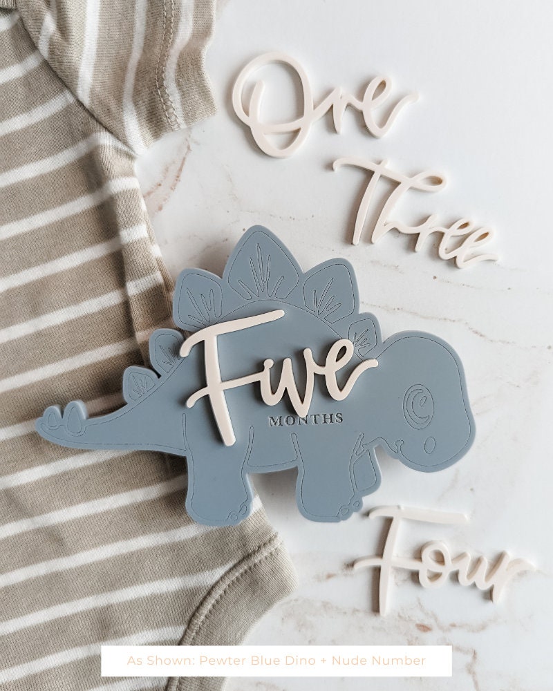 Modern Dinosaur Milestone Cards | Monthly Milestone Markers | Baby ...