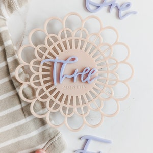 Tarjeta de hito de flor acrílica moderna rosa rubor y púrpura claro / Marcador de hito mensual para bebé / Bebé boho / Regalo de baby shower / Bebé de primavera