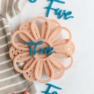 Carte d'étape de fleur acrylique moderne rose blush et sarcelle | Marqueur d’étape mensuel pour bébé | Étape importante de Boho | Cadeau de fête de naissance | Bébé d'été