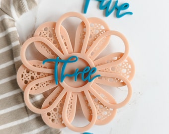 Blush Pink & Teal Modern Acrylic Flower Milestone Card | Baby Monthly Milestone Marker | Boho Milestone | Baby Shower Gift | Summer Baby