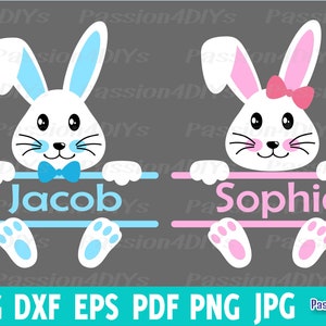 Hase SVG, Osterhase SVG, Hase Split svg / Hase Gesicht SVG, süsser Hase SVG, Cricut Datei, Silhouette Cut Datei Osterhase PNG