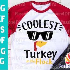 May include: A white t-shirt with a red raglan sleeve design. The shirt features a black graphic of a turkey wearing sunglasses with the text "Coolest Turkey in the Flock".