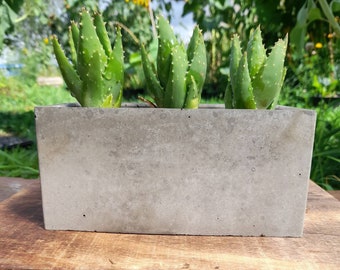 Concrete Rectangle Planter for Succulents & Bonsai