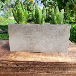 Concrete Rectangle Planter for Succulents & Bonsai