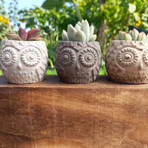 Concrete Owl Planter |  Cute Succulent Pots & Handmade Gifts | Small Succulent Containers