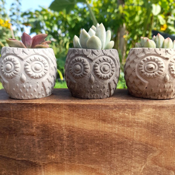 Concrete Owl Planter |  Cute Succulent Pots & Gifts