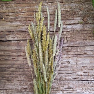 Dried Grasses Bunch | Naturally Dried Wild Grasses for Bouquets, Floral Arrangements & Crafting