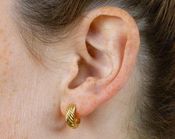 Simple Minimalist Hoop Earrings L77 Timeless Elegant Design Twisted Rope Chubby Huggie Hoop Earrings