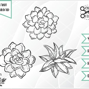 Sukkulenten Bundle Cut File // Sukkulenten Cut File // svg png dxf pdf // Instant Download