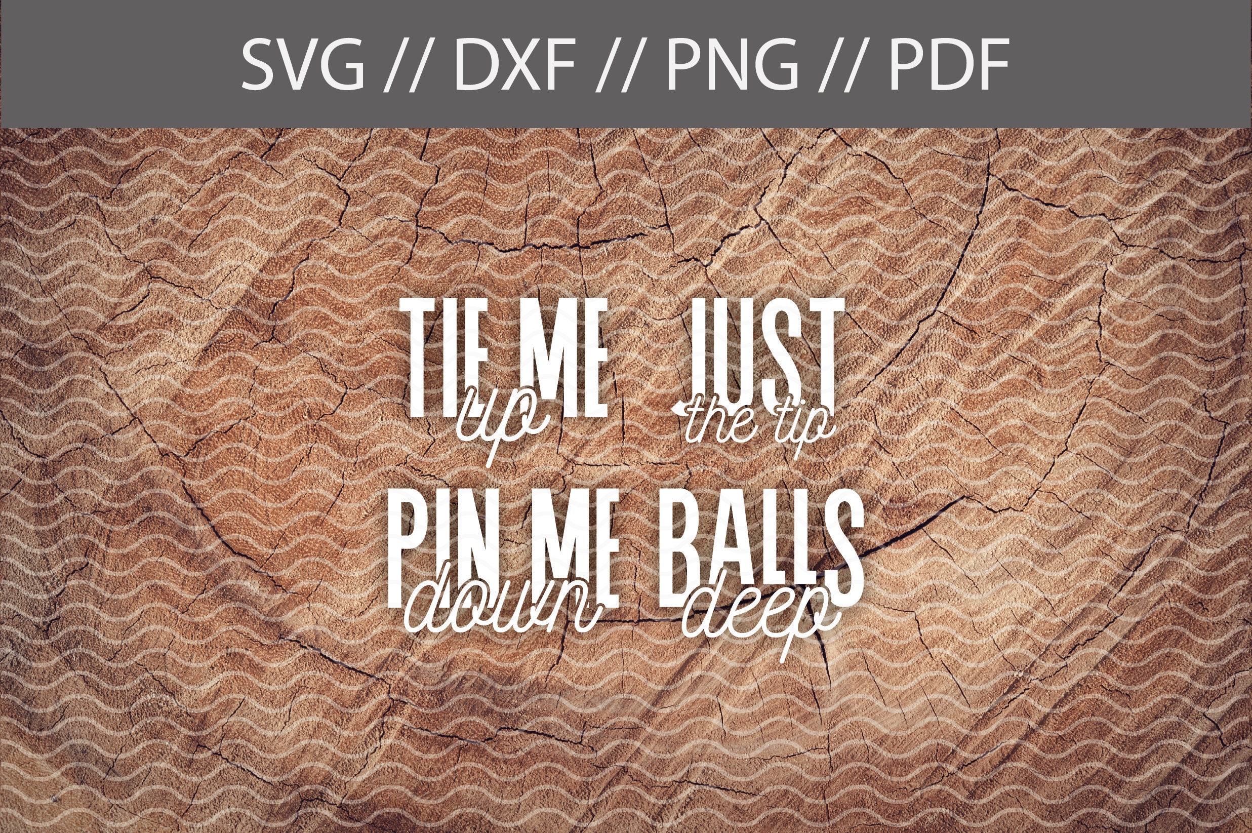 bathroom-labels-cut-file-tie-me-up-pin-me-down-just-the-etsy