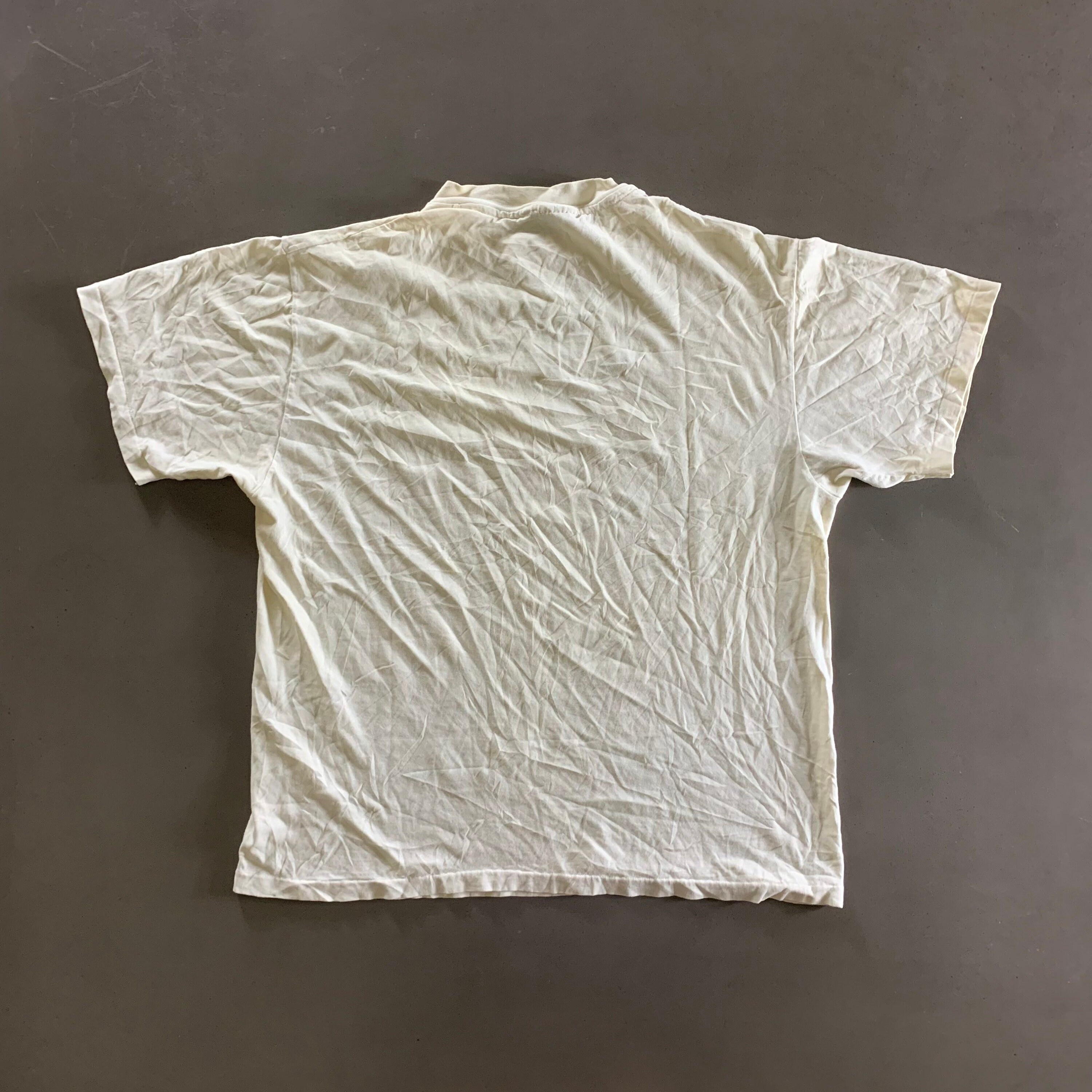 vintage hanes beefy t shirt blank