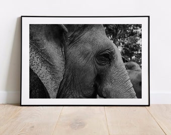 Arte da parete regalo Arte da parete / Asia stampa decorazione da parete poster / Chiang Mai stampa elefante arte da parete / THAILANDIA viaggio poster / paesaggio regalo decorazione