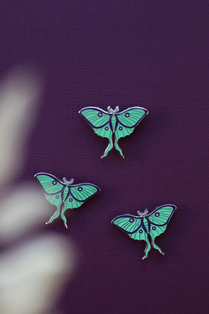 Luna Moth Pin image 3