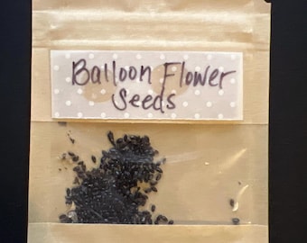 Blue Balloon (Platycodon) Flower Seeds