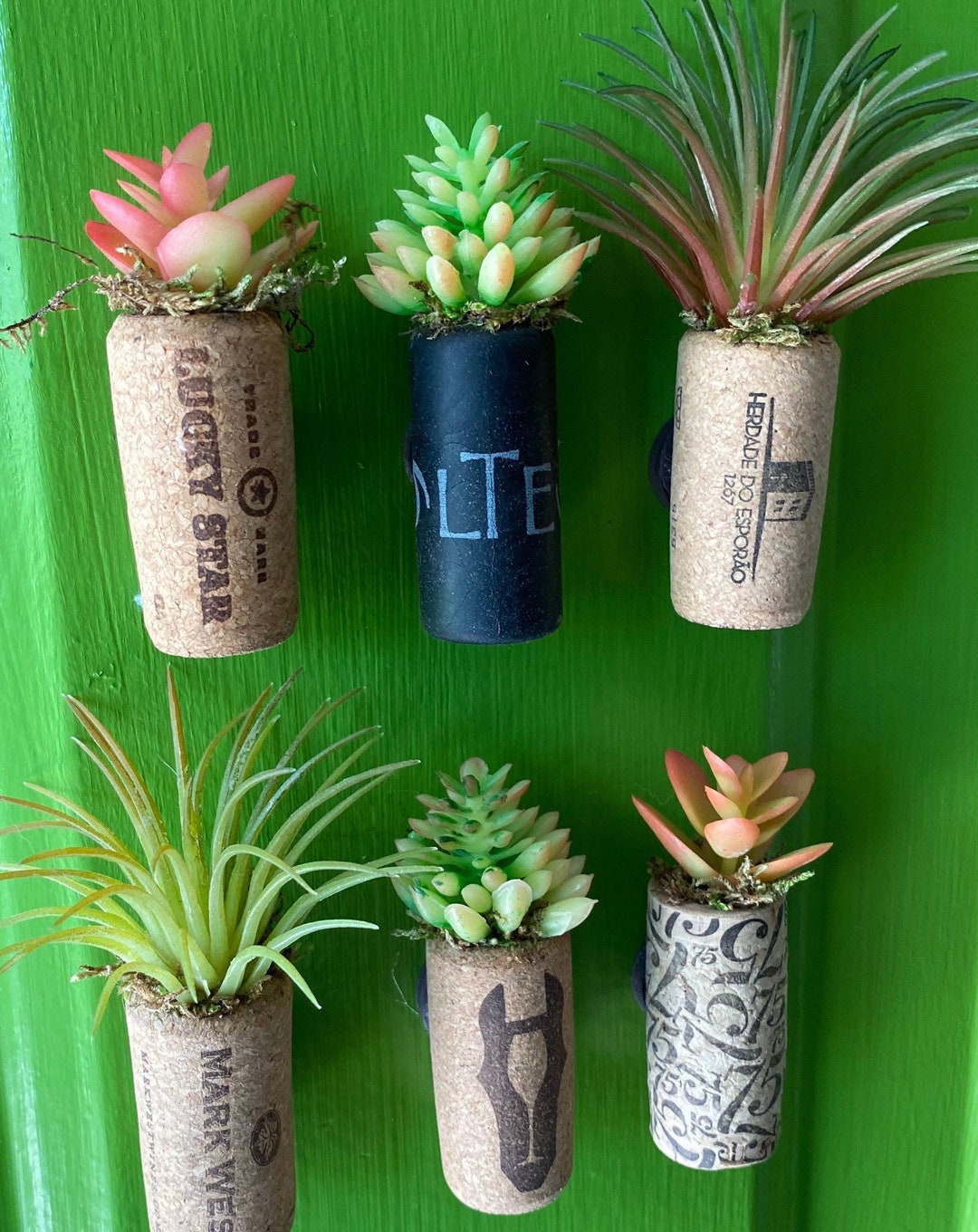 Wine Cork Succulent Wine Cork Planter Etsy