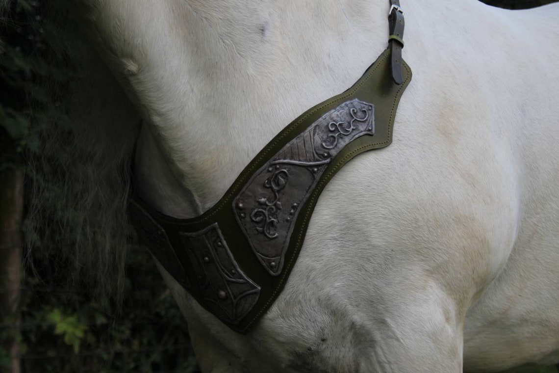 Pferderüstung Dekorativer Tack Custom Etsy