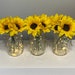 see more listings in the Lighted Mason Jars section