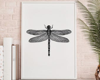 Dragonfly illustration Print, black and white, Wall Art, Printable Download, dragonfly print, hand drawn, insect, monochrome, insect poster.