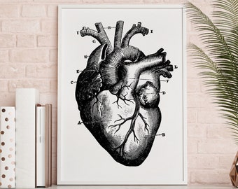 Heart anatomical illustration Print, black and white Wall Art, Printable Download, hand drawn organ, monochrome art, human poster gothic