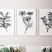 Set of 3 Downloadable Black and White Prints Printable Black - Etsy