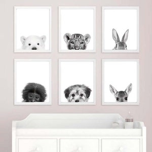 May include: A set of 6 black and white animal print nursery art prints. Each print features a different animal peeking out from behind a white frame. The animals include a polar bear, a lion, a rabbit, a monkey, a dog, and a deer.