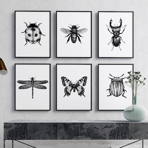 Set of 6 insect illustration Print, black and white, Wall Art, Printable Download, Bug print, hand drawn bugs, monochrome, insect poster.