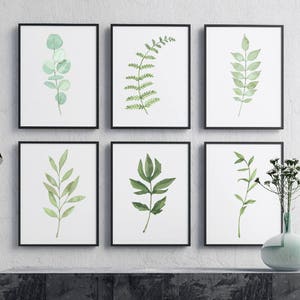 植物イラストプリント6枚セット、水彩画、ウォールアート、印刷可能なダウンロード、植物、自然のハーブ、描かれた葉、モダンな部屋のポスター