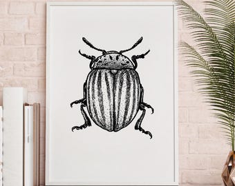 Dung beetle illustration Print, black and white, Wall Art, Printable Download, beetle print, hand drawn, monochrome, insect poster.