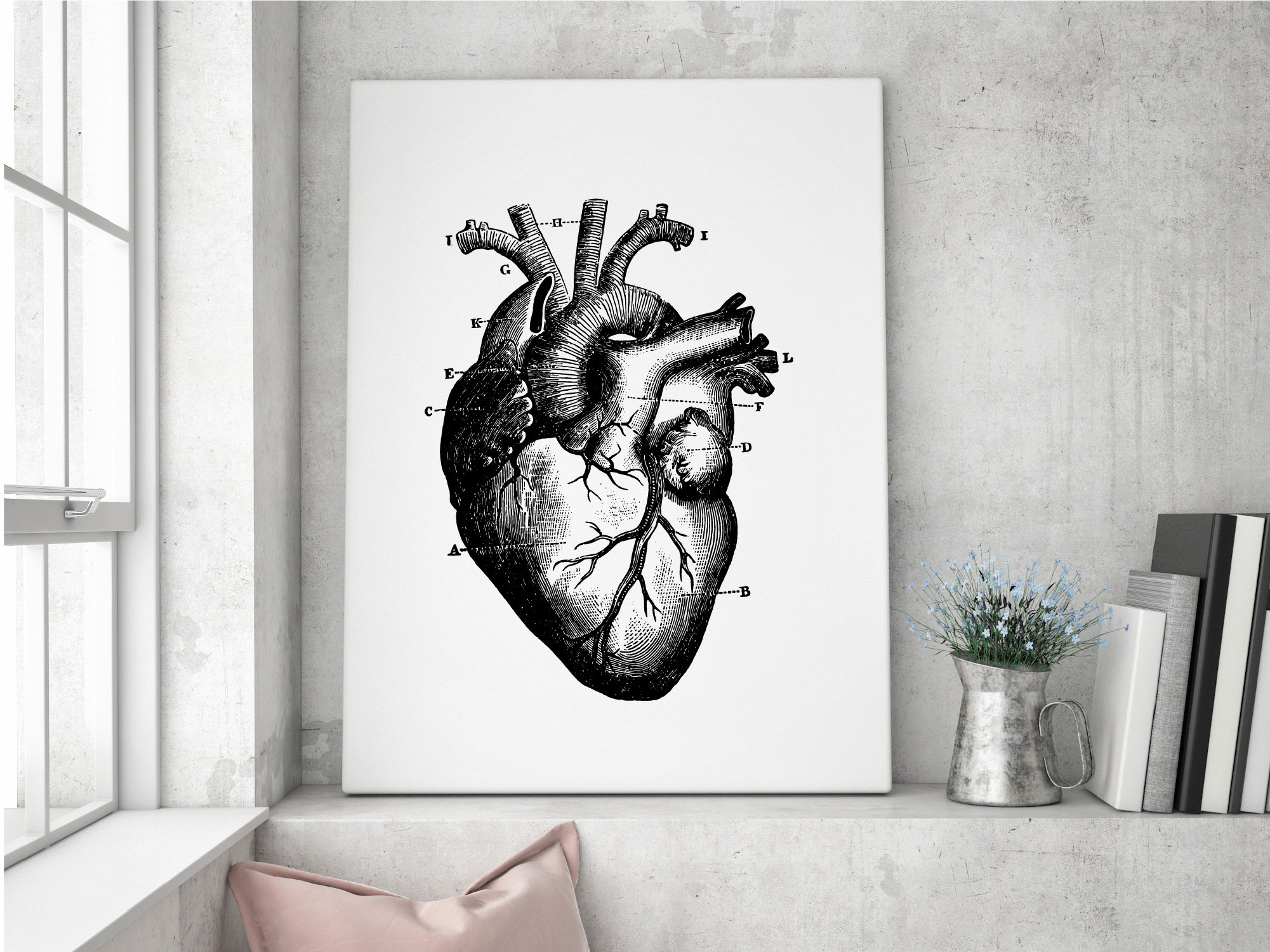 Heart Anatomical Illustration Print Black and White Wall Art - Etsy