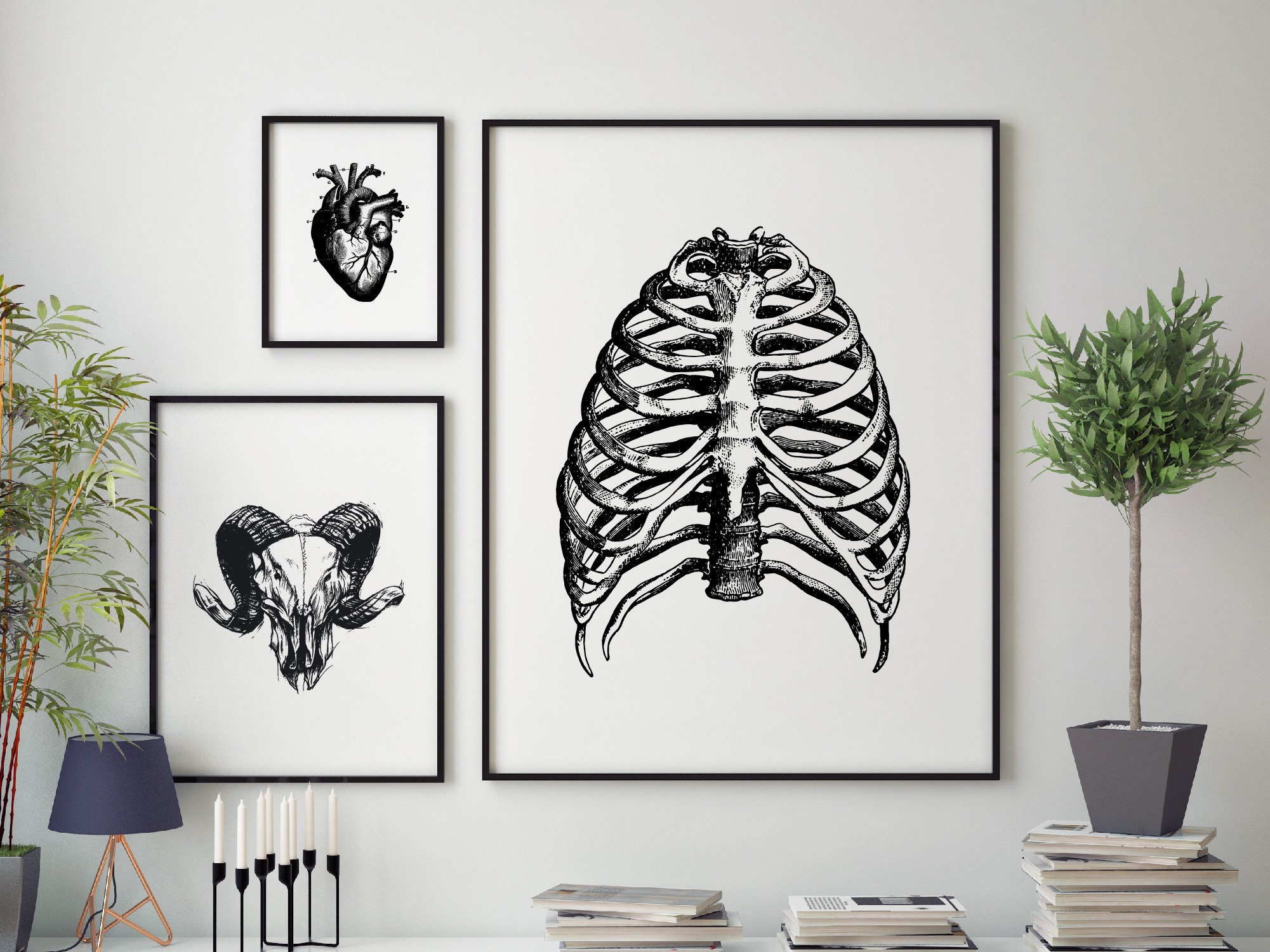 Heart Anatomical Illustration Print Black and White Wall Art - Etsy